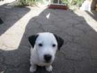 pict0430_small.jpg