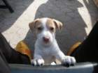 pict0434_small.jpg