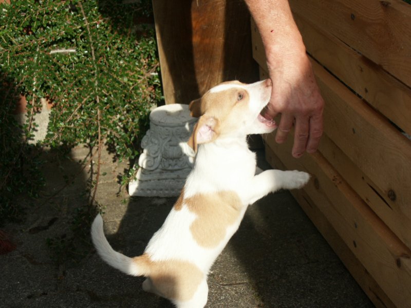 pict0442.jpg