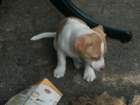 pict0444_small.jpg