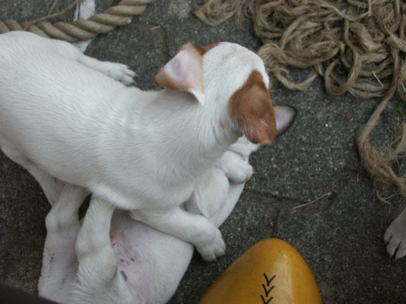 pict0445.jpg