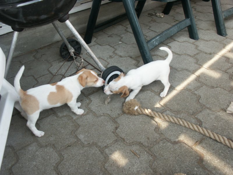 pict0448.jpg